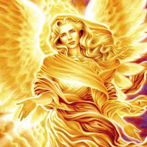 13263673 541075916079907 7668170370780332121 n