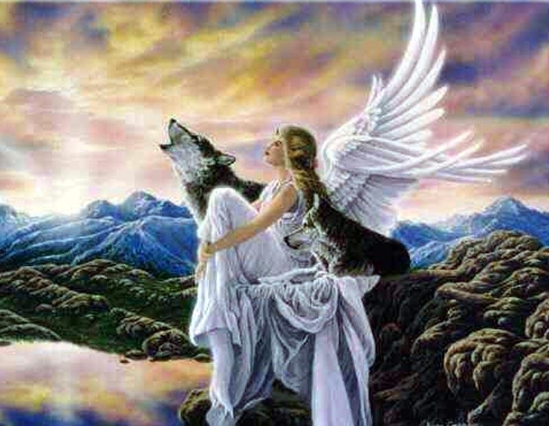 261445 2534861500000822225ZcmGsP ph