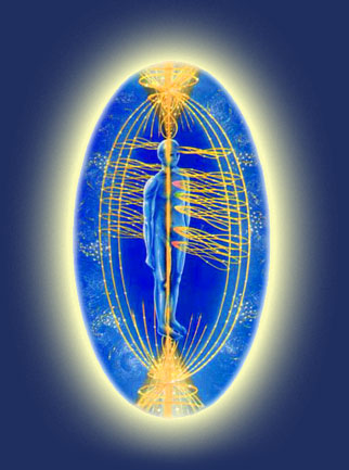 EMF Tecnique